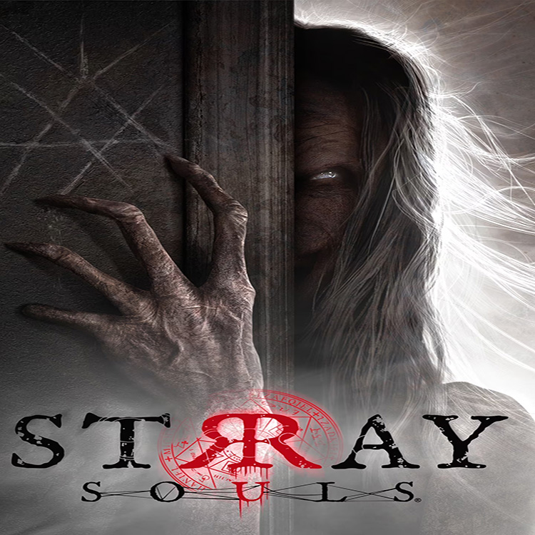 'اکانت قانونی Stray Souls