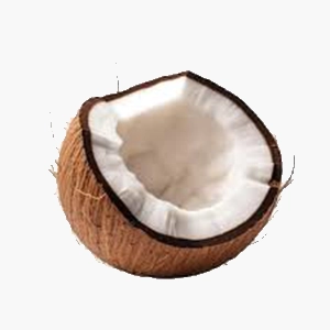 اکانت هوش مصنوعی Coconote کوکونات